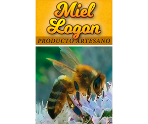 Miel Logon